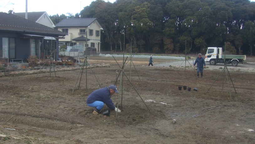 2番目のメイン画像