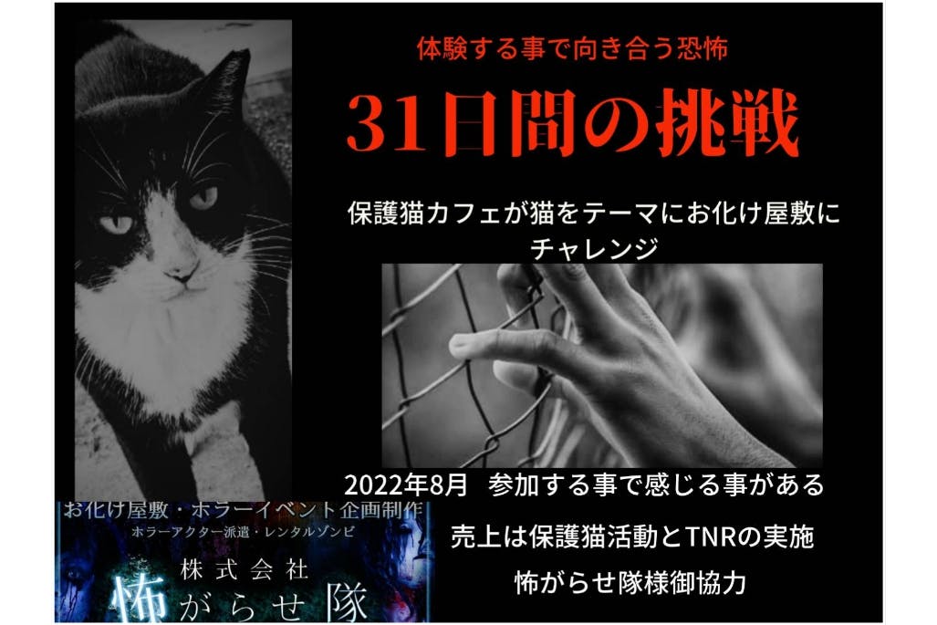 2022年31日間の挑戦！猫がテーマのお化け屋敷をしたい！ - CAMPFIRE (キャンプファイヤー)