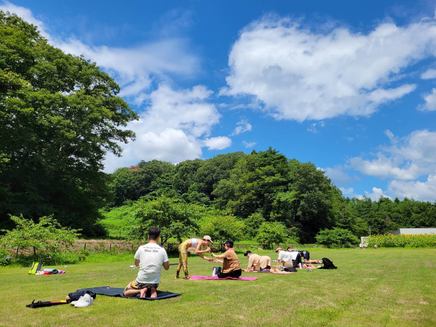 5番目のメイン画像