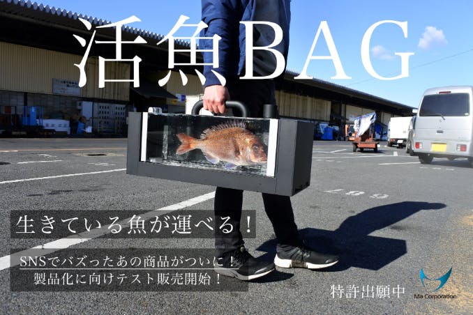 生きてる魚 が運べる活魚bag 製品化に向けテスト販売スタート Campfire キャンプファイヤー