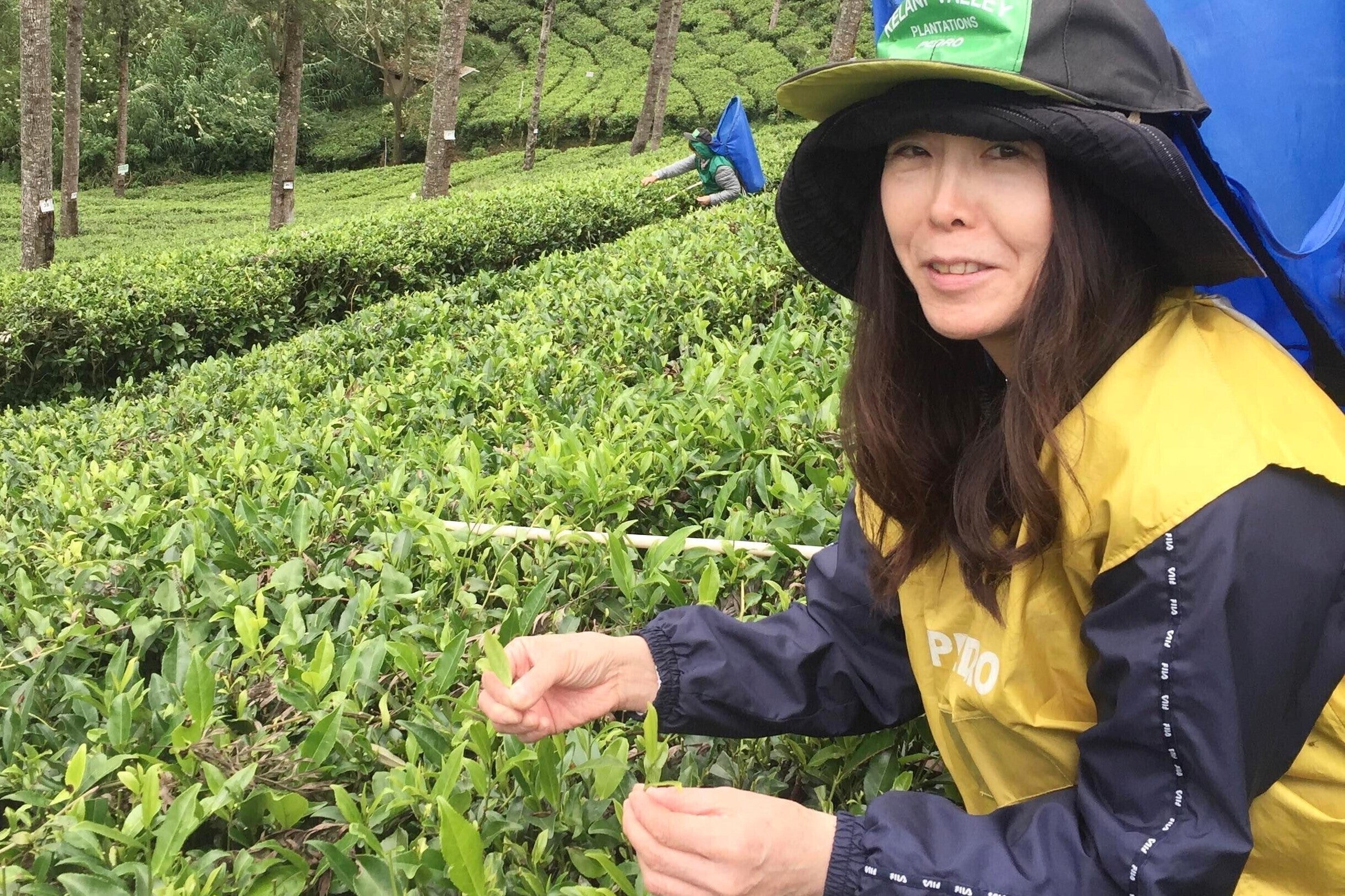 4番目のメイン画像