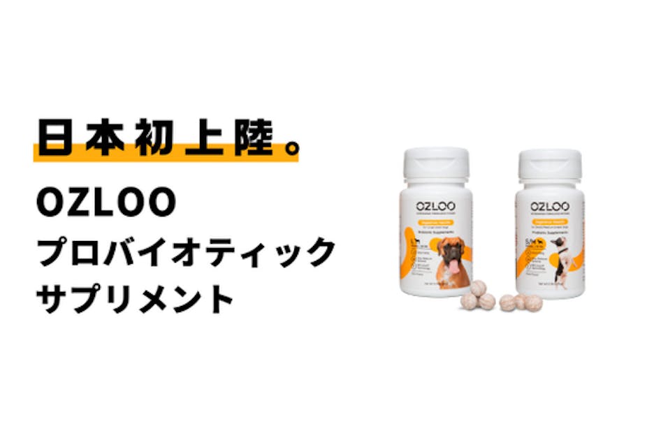 【日本初】アメリカ生まれの犬用整腸剤、OZLOOプロバイオ 