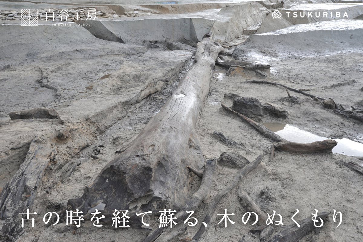 2700年の時を経て蘇る木の温もり、遺跡から出土した神代欅を蘇らせる CAMPFIRE (キャンプファイヤー)