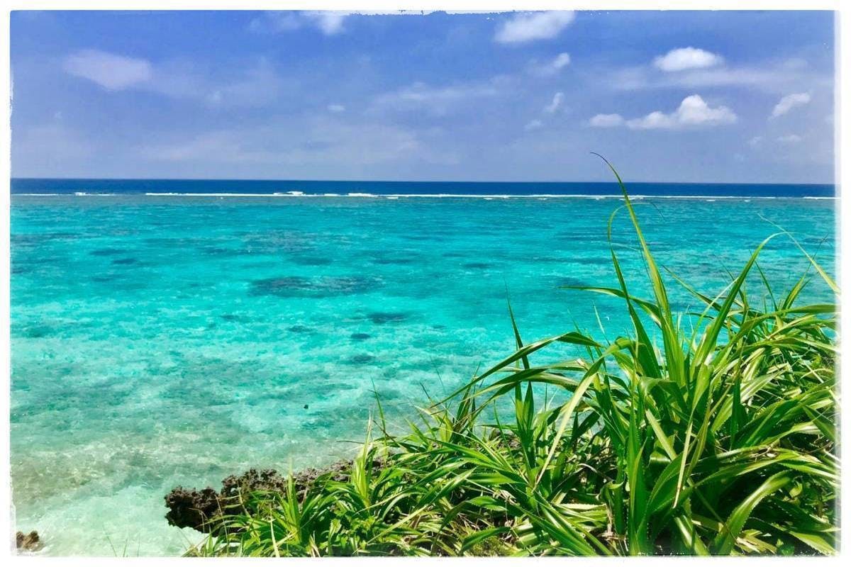 ヨロン島の黒毛和牛 の美味しさを日本中に 南の島の美しい海をいつまでも Campfire キャンプファイヤー ヨロン島の黒毛和牛 の美味しさを日本中に 南の島の美しい海をいつまでも Campfire キャンプファイヤー