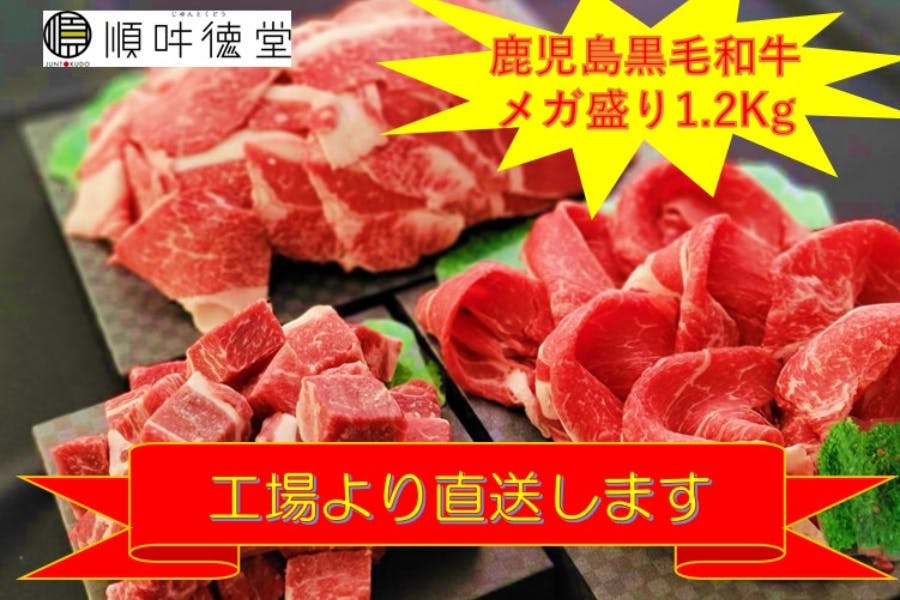 卸の会社が直接販売 鹿児島黒毛和牛メガ盛り1キロ超を全国にお届け Campfire キャンプファイヤー 卸の会社が直接販売 鹿児島黒毛和牛メガ盛り1キロ超を全国にお届け Campfire キャンプファイヤー