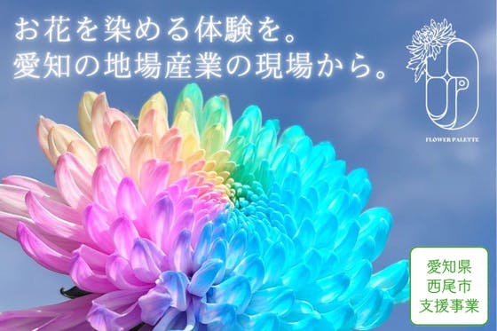 花どころ西尾！お花を染める楽しさを味わいながら、花農家さんを応援しよう