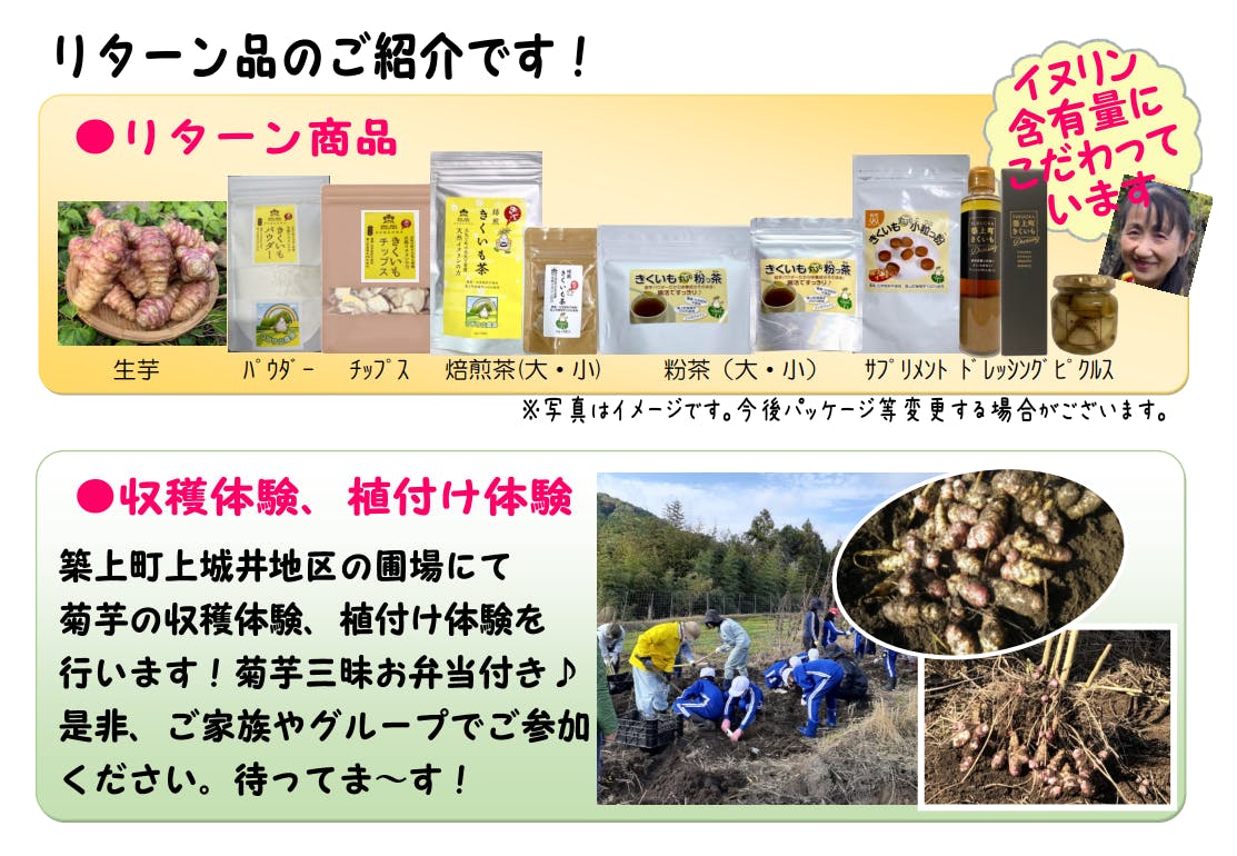 女性のパワーで 築上町の 菊芋 きくいも を守りたい Campfire キャンプファイヤー 女性のパワーで 築上町の 菊芋 きくいも を守りたい Campfire キャンプファイヤー