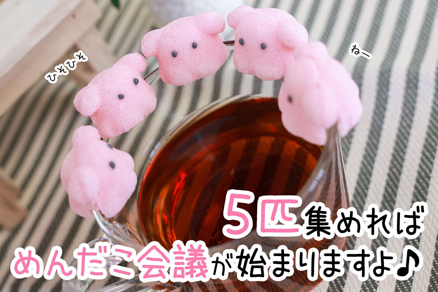 溶けるめんだこ めんだこシュガー商品化プロジェクト Campfire キャンプファイヤー