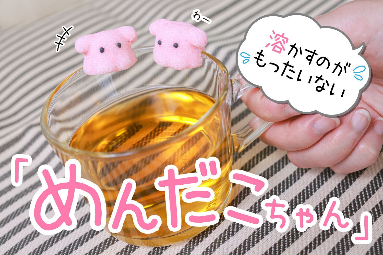 溶けるめんだこ めんだこシュガー商品化プロジェクト Campfire キャンプファイヤー