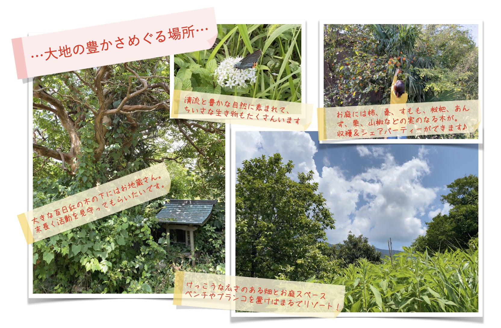 4番目のメイン画像