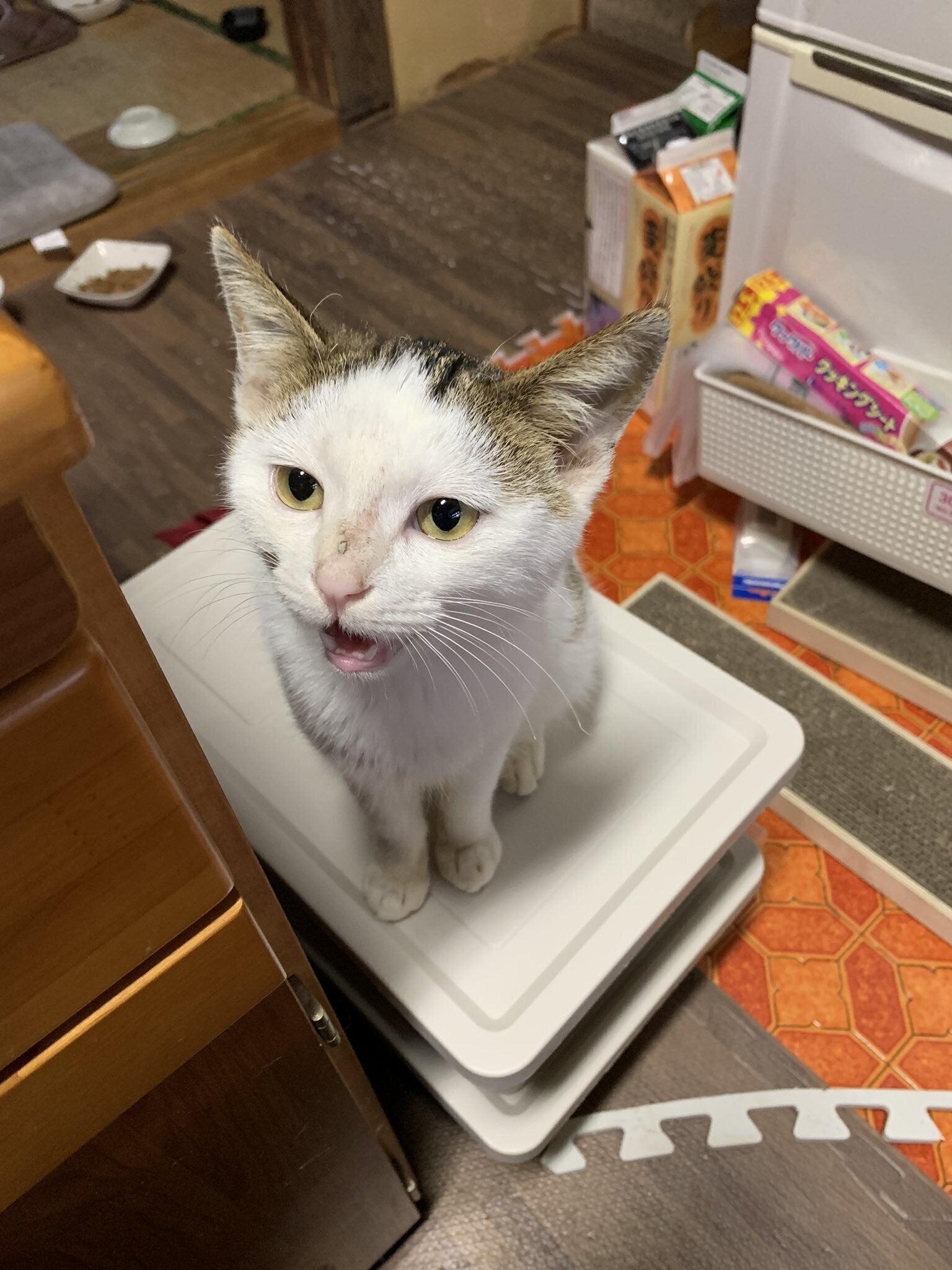 2番目のメイン画像