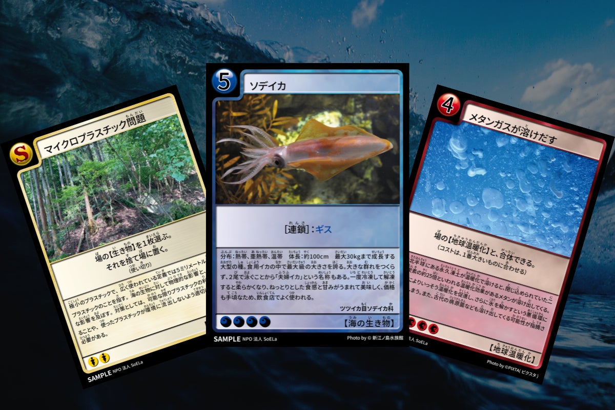 地球環境カードゲーム My Earth 相模湾パッケージを子ども達に届けたい Campfire キャンプファイヤー