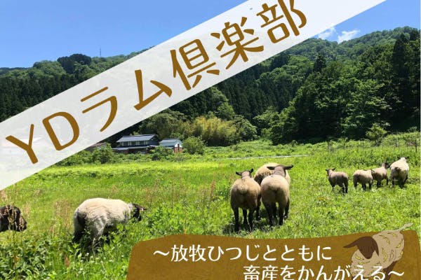 YDラム倶楽部　～日本の畜産の未来を考えるコミュニティ