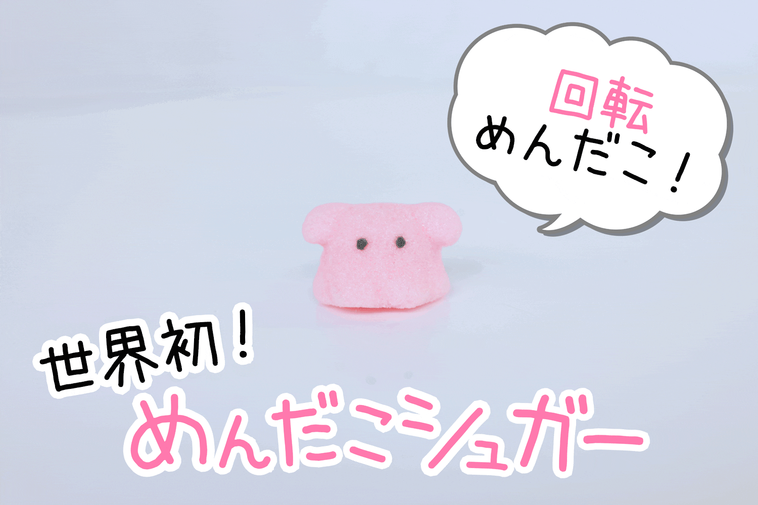 溶けるめんだこ めんだこシュガー商品化プロジェクト Campfire キャンプファイヤー 溶けるめんだこ めんだこシュガー商品化プロジェクト Campfire キャンプファイヤー