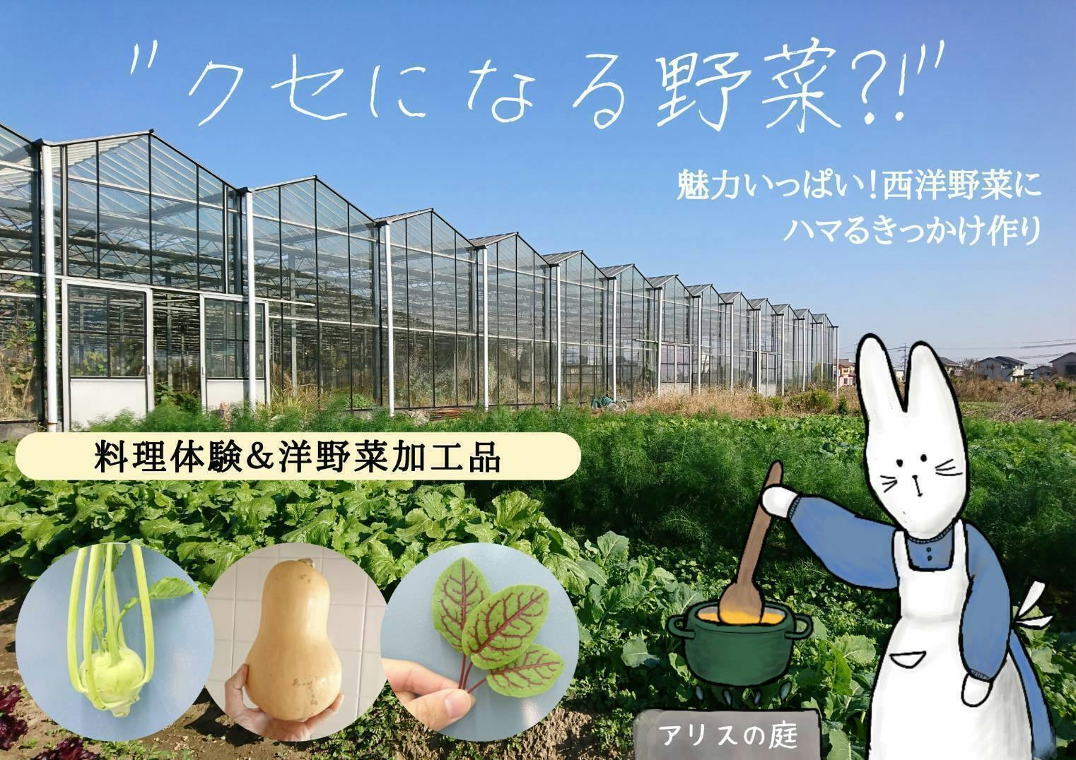 魅力いっぱいのイタリア野菜 たくさんの人に伝えたい Campfire キャンプファイヤー 魅力いっぱいのイタリア野菜 たくさんの人に伝えたい Campfire キャンプファイヤー