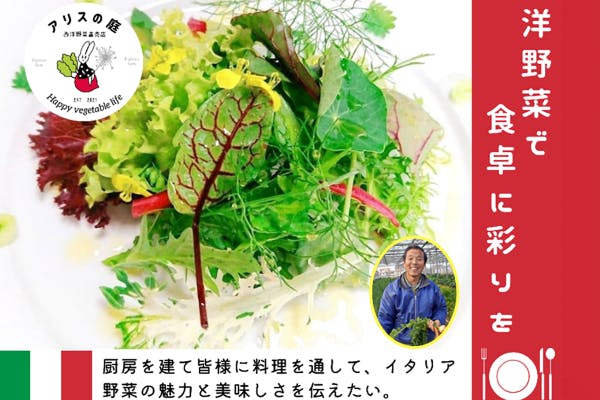 魅力いっぱいのイタリア野菜 たくさんの人に伝えたい Campfire キャンプファイヤー