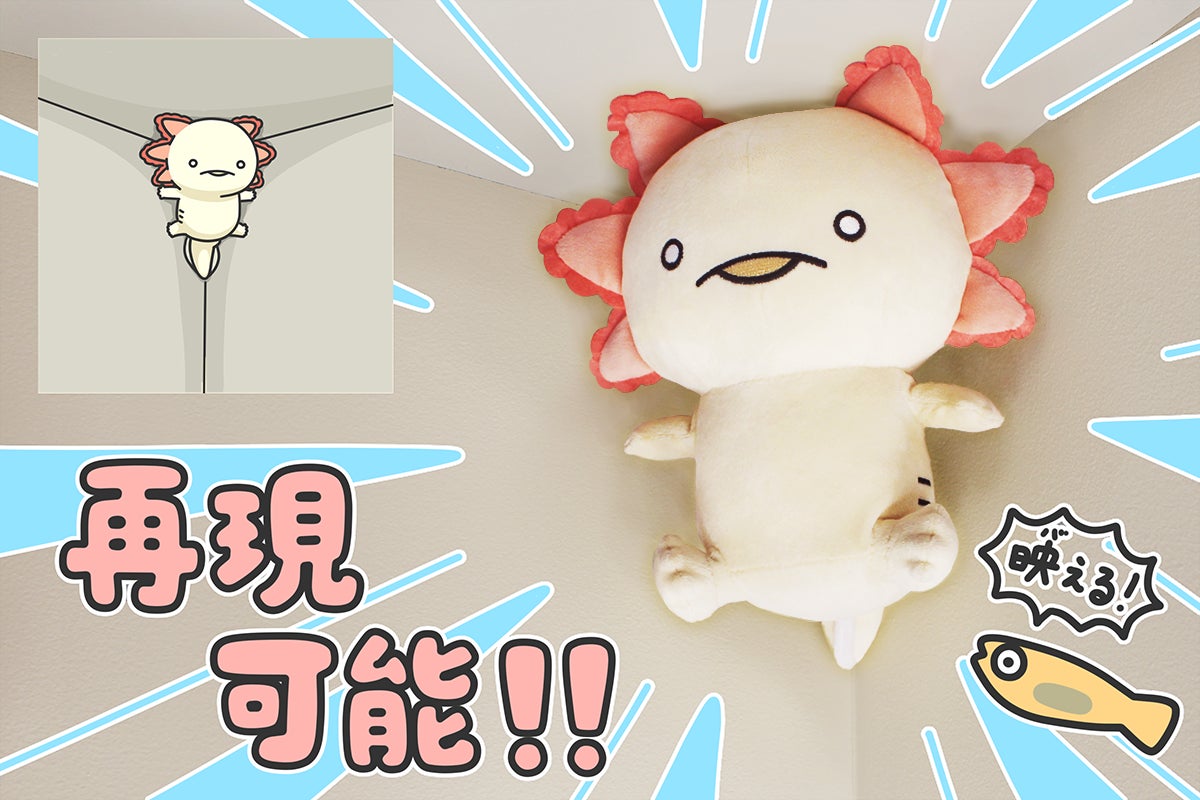 5番目のメイン画像