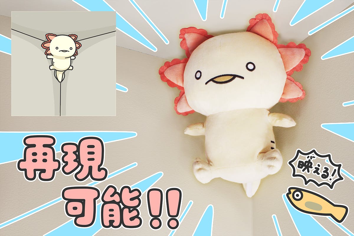 人生はウーパールーパー ぬいぐるみ化プロジェクト Campfire キャンプファイヤー 人生はウーパールーパー ぬいぐるみ化プロジェクト Campfire キャンプファイヤー