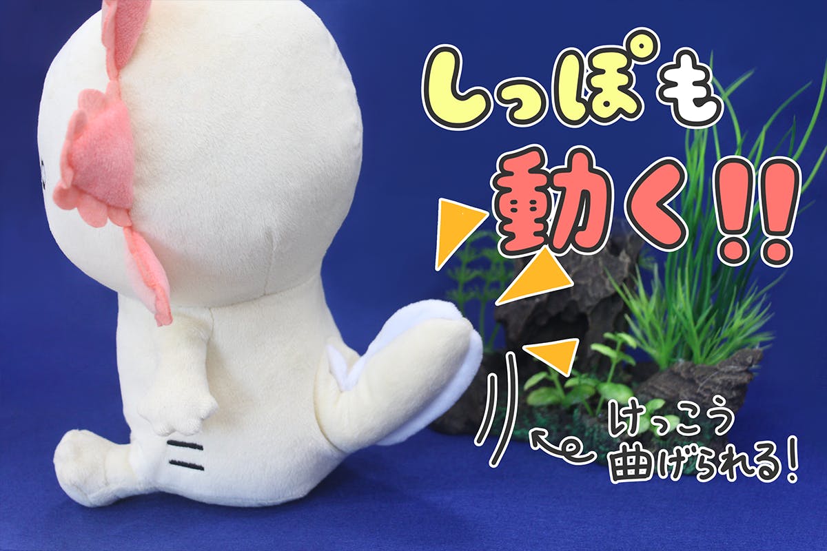 人生はウーパールーパー ぬいぐるみ化プロジェクト Campfire キャンプファイヤー 人生はウーパールーパー ぬいぐるみ化プロジェクト Campfire キャンプファイヤー