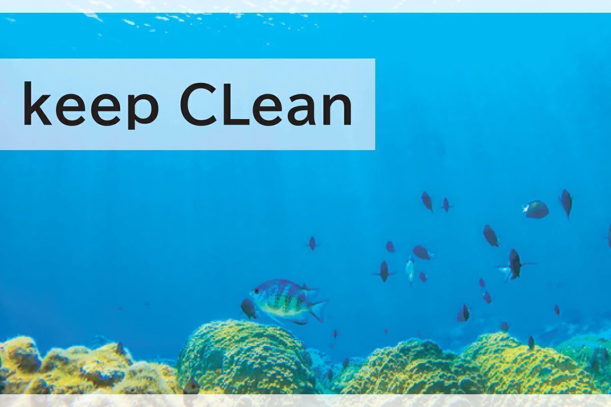 環境にやさしいペーパーストロー5本入 600個セット販売 マイクロプラスチックの削減に貢献 粗品 ノベルティ 台紙にはfsc認証紙を使用しています 販促品 エコ商品 景品