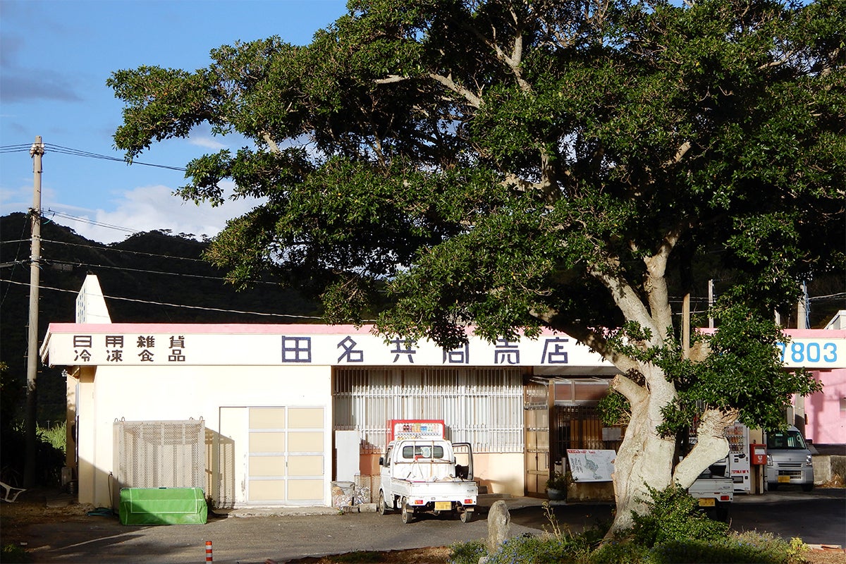 2番目のメイン画像