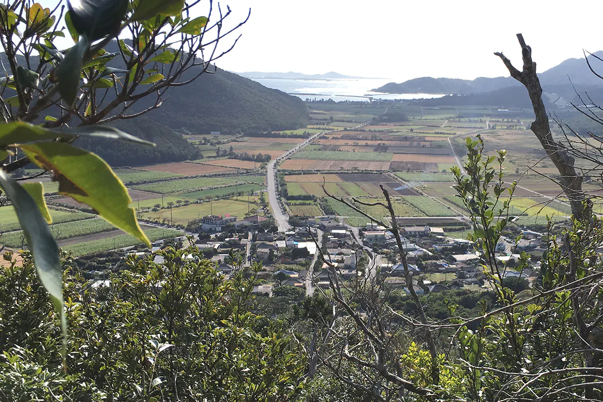 3番目のメイン画像