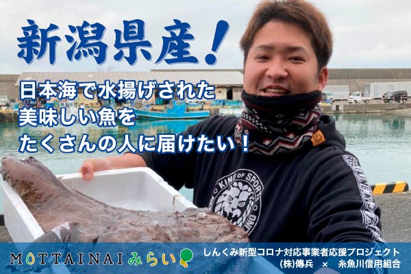 新潟県産 日本海で水揚げされた美味しい魚をたくさんの人に届けたい Campfire キャンプファイヤー