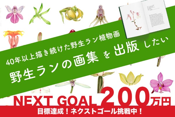 植物精密画！40年の年月を超えて、日本の野生ランを描いた画集を出版