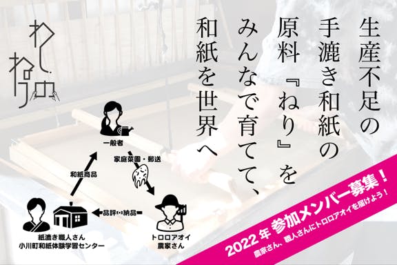 生産不足の手漉き和紙原料ねり トロロアオイ を家庭で育て 世界へ 第２ステージ Campfire キャンプファイヤー