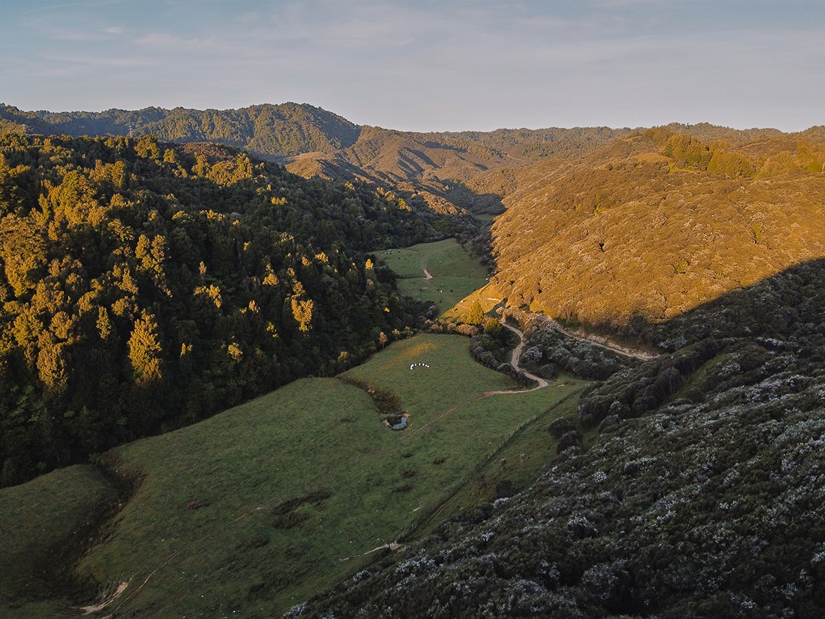 4番目のメイン画像