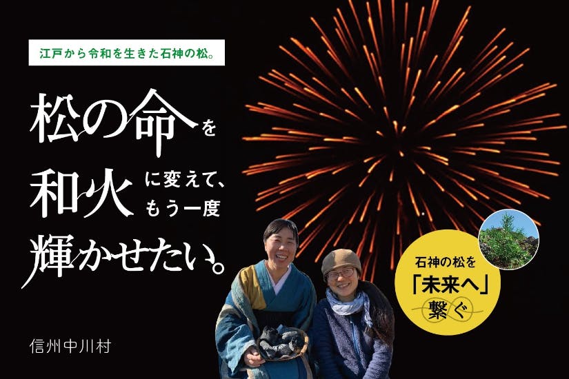 松の命を花火に変えて もう一度輝かせたい 江戸to令和 石神の松を未来へつなぐ Campfire キャンプファイヤー