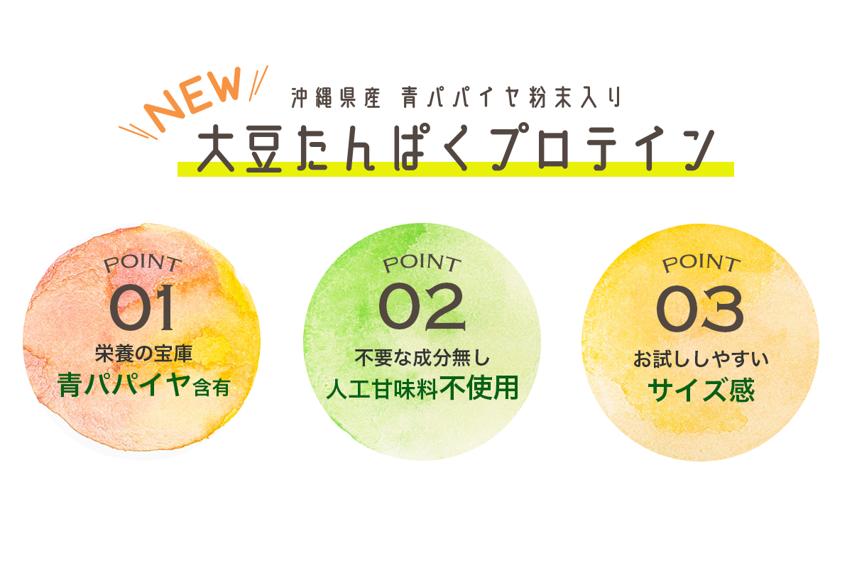 沖縄県産有機青パパイヤ配合大豆たんぱくプロテイン 300ｇ 15食分 安い 激安 プチプラ 高品質