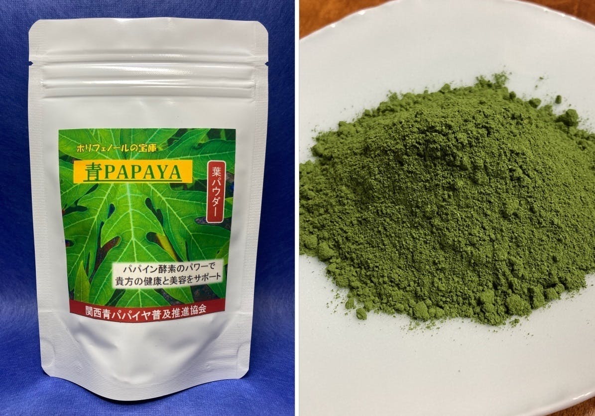 乾燥 青パパイヤ 葉 20g×2 - 小動物用品