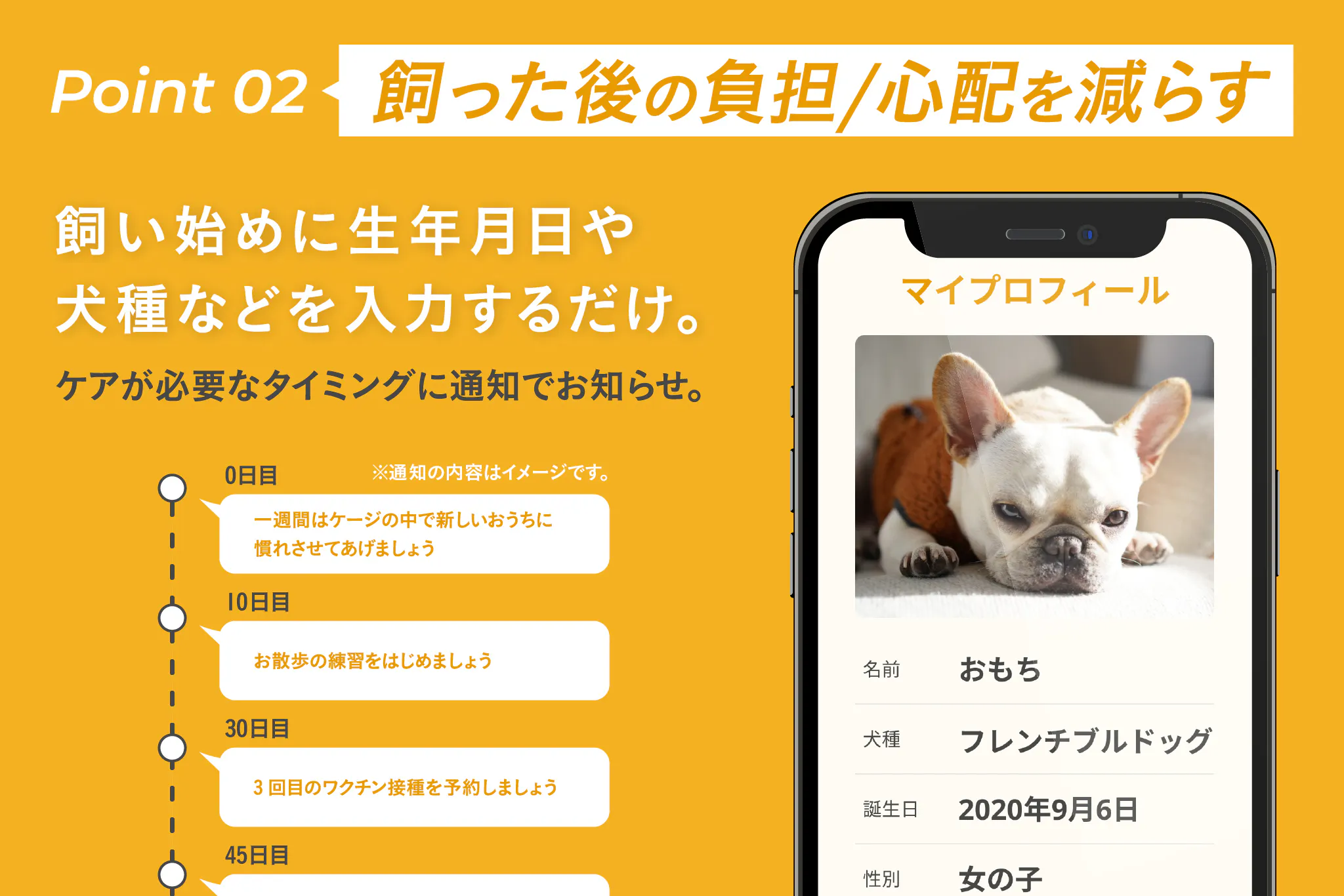犬の飼育放棄ゼロへ はじめての犬の飼育をサポートするアプリを開発 の支援者一覧 Campfire キャンプファイヤー 犬の飼育放棄ゼロへ はじめての犬の飼育をサポートするアプリを開発 の支援者一覧 Campfire キャンプファイヤー