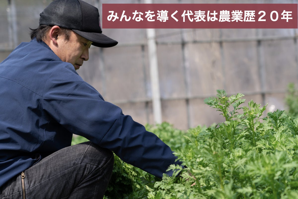 2番目のメイン画像