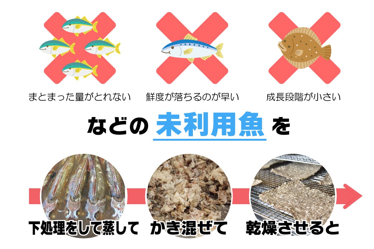 三河湾でとれたお魚100％のごちそうでワンコの毎日を健康でおいしく