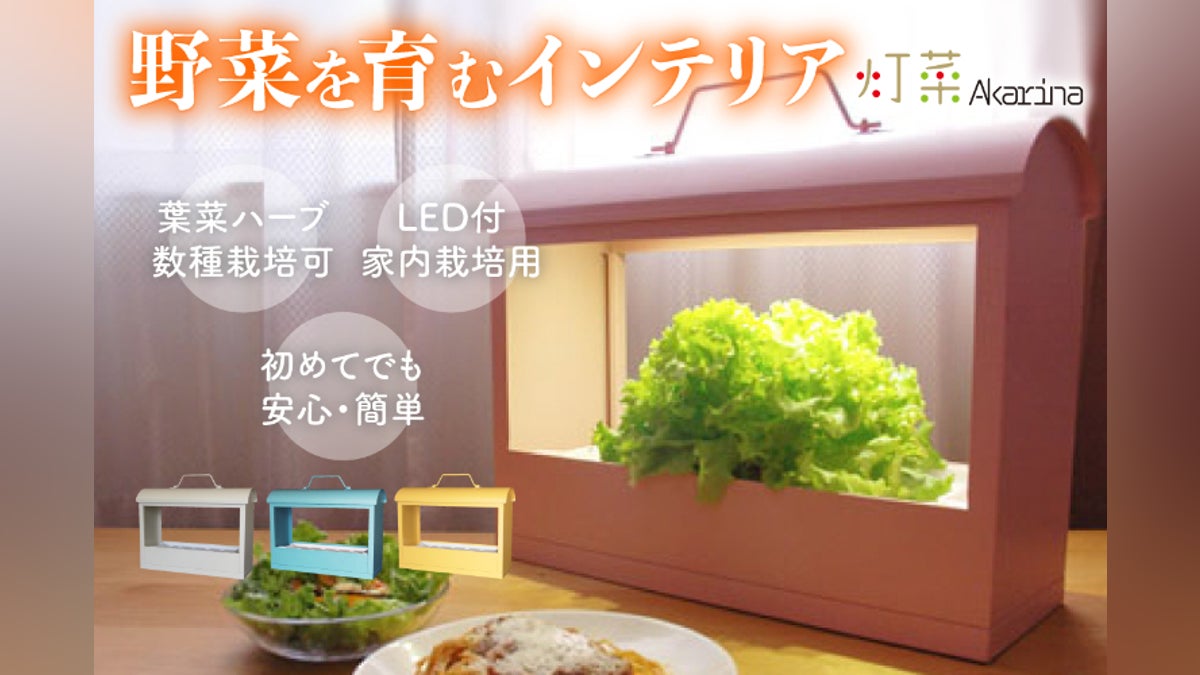 室内で野菜やお花を育むインテリア「LED植物水耕栽培器 Akarina 室内で野菜やお花を育むインテリア「LED植物水耕栽培器 Akarina