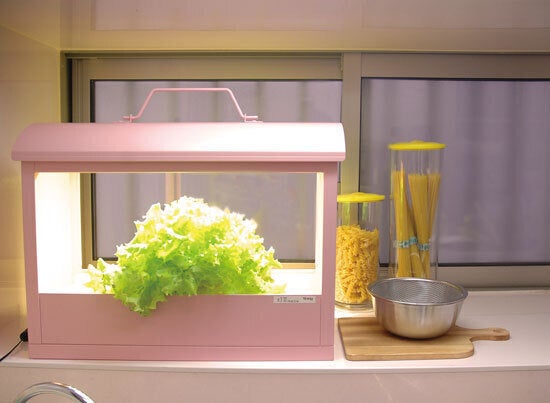 室内で野菜やお花を育むインテリア「LED植物水耕栽培器 Akarina
