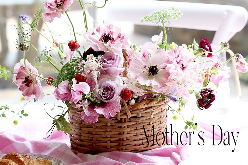 4自家栽培 無農薬 しめ縄 正月飾り ドライフラワー プリザーブド