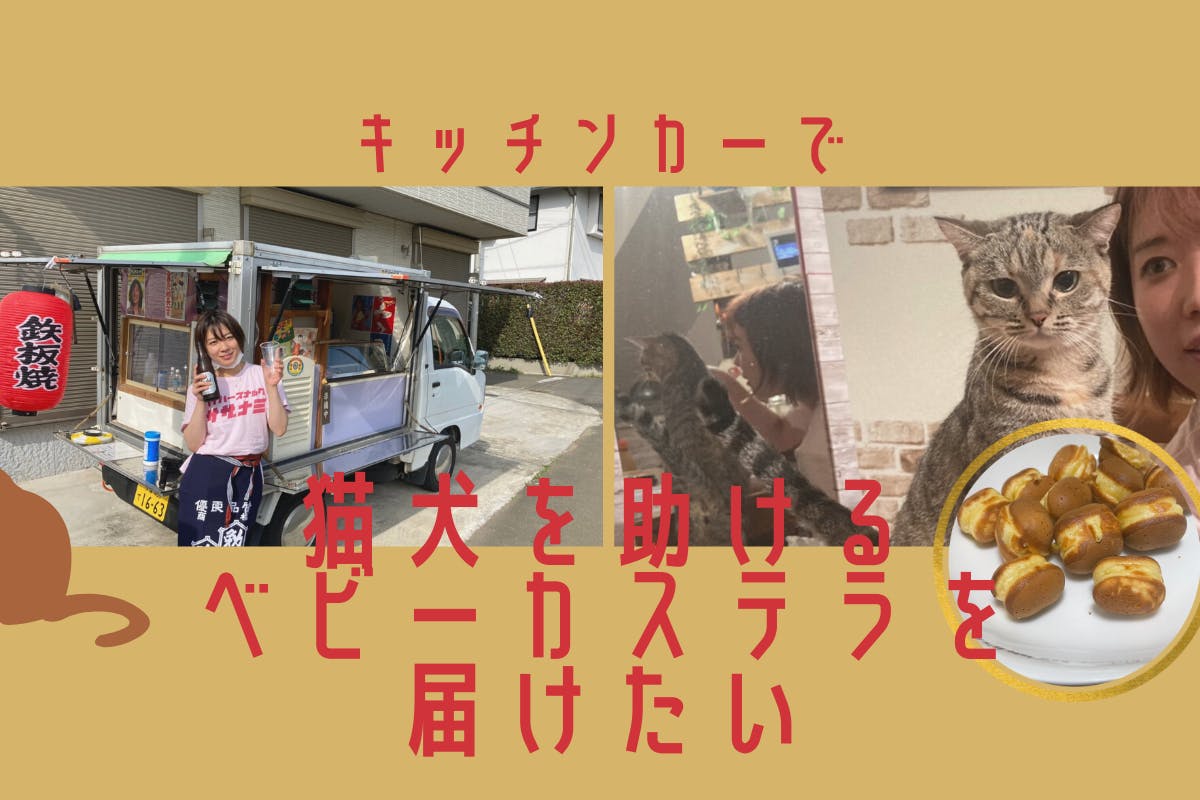 猫犬ちゃんを助ける ベビーカステラ をキッチンカーでみんなに届けたい Campfire キャンプファイヤー