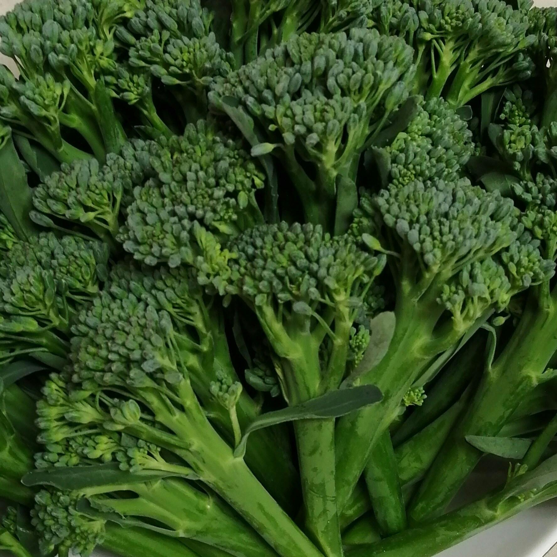 徳島県産 スティックセニョール ブロッコリー お問い合わせページ - 野菜