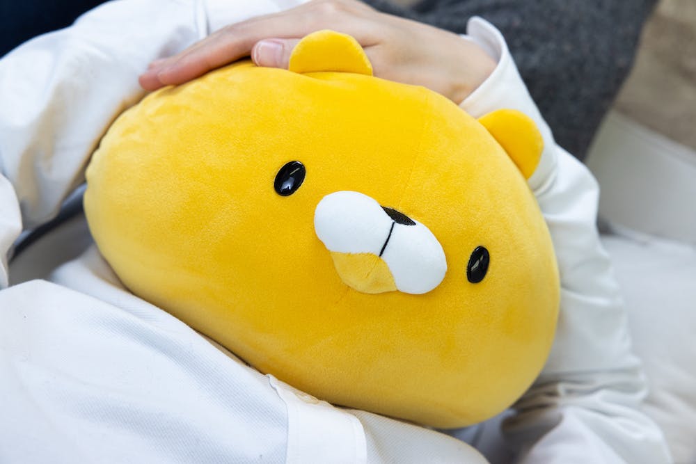 タケネコ顔面モチモチクッションプロジェクト Campfire キャンプファイヤー タケネコ顔面モチモチクッションプロジェクト Campfire キャンプファイヤー