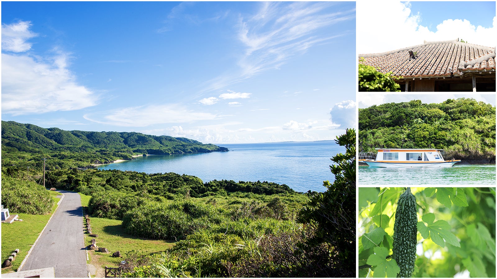 5番目のメイン画像