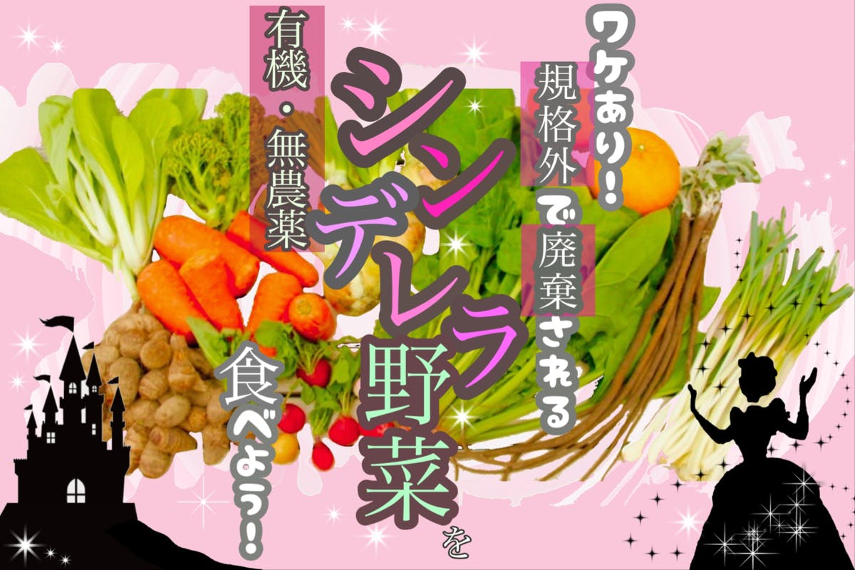 【フードロス】美味しい無農薬・有機野菜『シンデレラ野菜』を食べて廃棄から救おう！