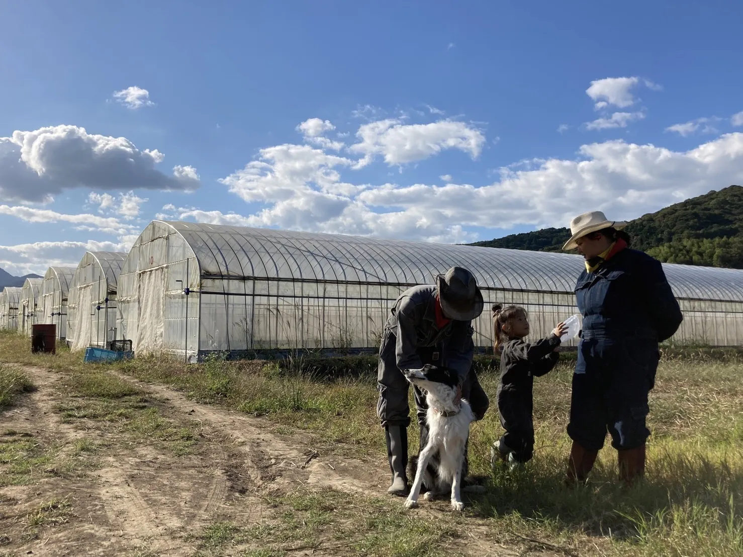 5番目のメイン画像