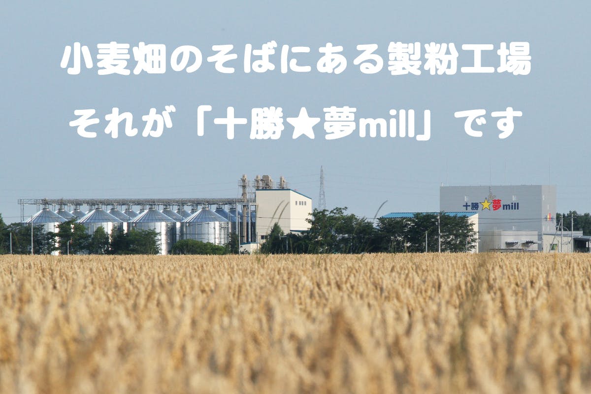 北海道産の希少な小麦「キタノカオリ」の安定した収穫の為に生産者応援企画第2弾！ CAMPFIRE (キャンプファイヤー)