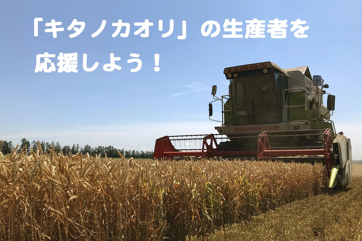 北海道産の希少な小麦「キタノカオリ」の安定した収穫の為に生産者応援企画第2弾！ CAMPFIRE (キャンプファイヤー)