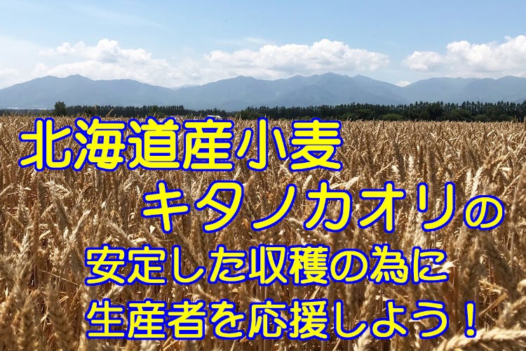 北海道産の希少な小麦「キタノカオリ」の安定した収穫の為に生産者応援企画第2弾！
