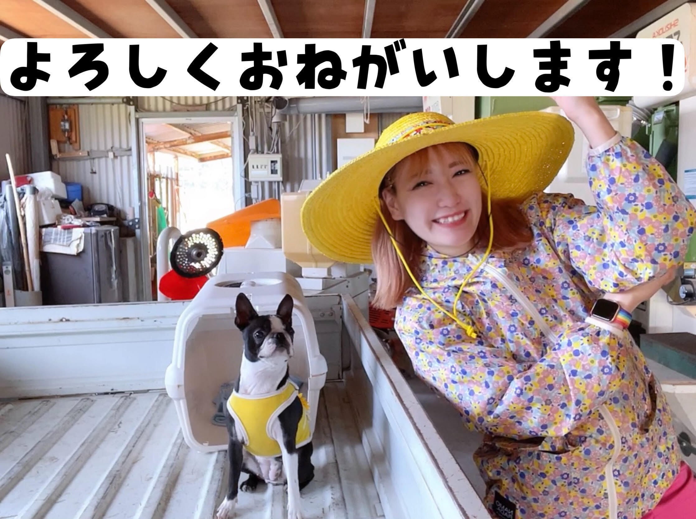 5番目のメイン画像