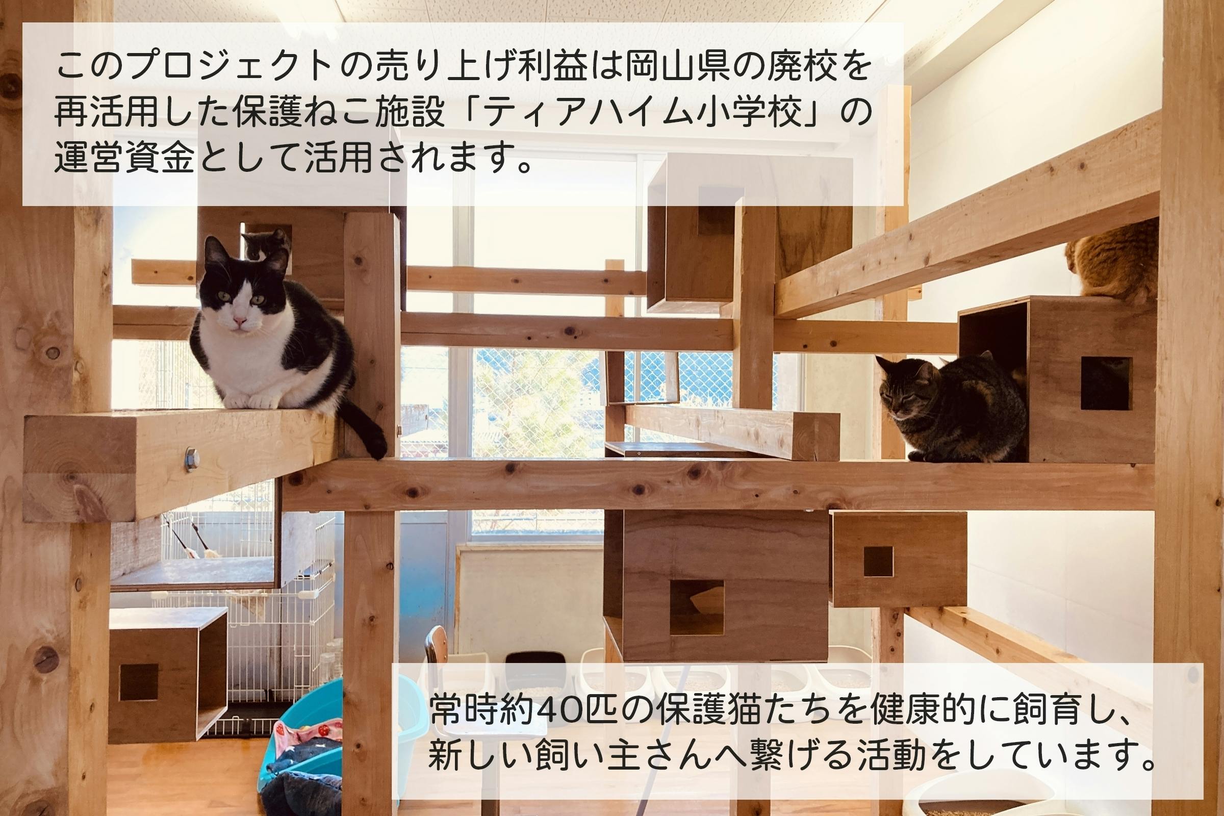 なめさせるだけの L ロイテリ菌デンタルケア 保護ねこ支援プロジェクト へのコメント Campfire キャンプファイヤー なめさせるだけの L ロイテリ菌デンタルケア 保護ねこ支援プロジェクト へのコメント Campfire キャンプファイヤー